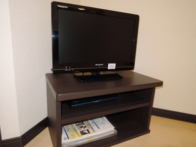【設備】 | レオネクストウイング片山 | ☆テレビ☆