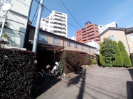 春日の杜の画像