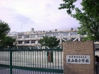 【周辺】 | 尾山台小学校