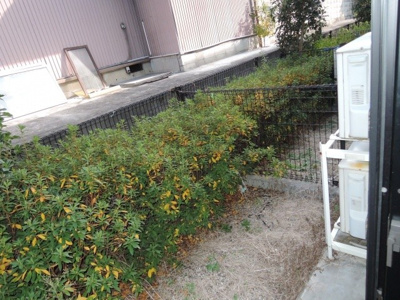 【バルコニー】 | 母木