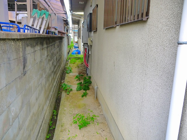 ピノ520のその他