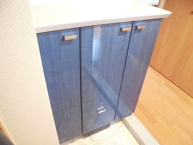 文京区本郷３丁目の賃貸マンションの収納|シューズボックス
