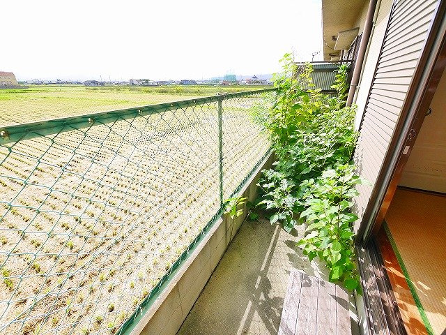 大西勉貸家（大安寺2丁目）の庭|たまにはお庭で休日を過ごしてみるのもよいかもしれません