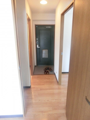 【内装】 | メゾンマルセⅡ