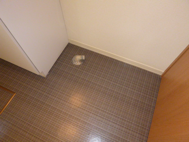 ウィンズＣのその他|洗濯機置き場