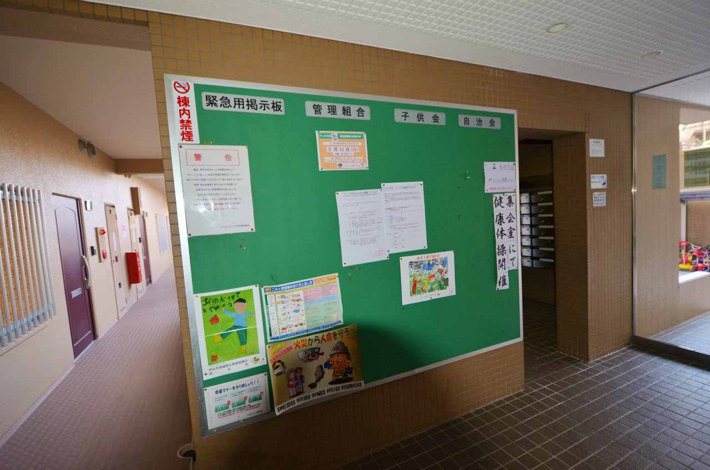 掲示板