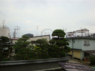 【展望】