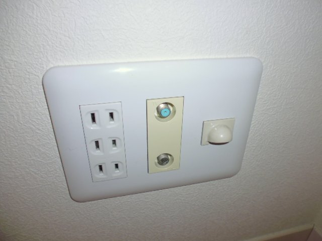 メイフラワーＢのその他|ＴＶジャック