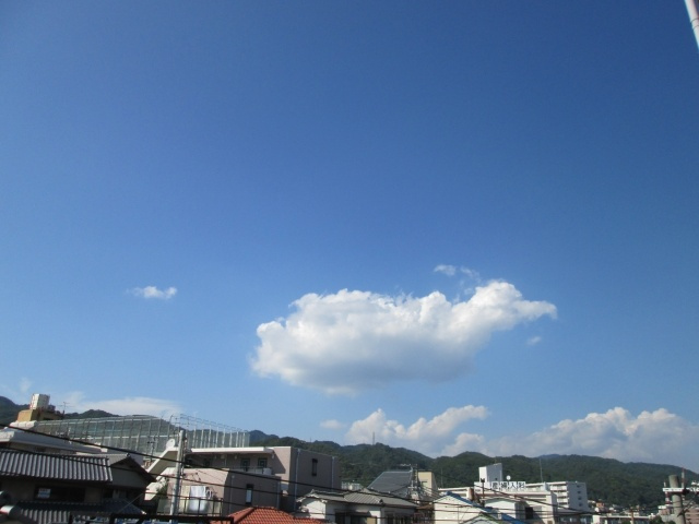 【展望】