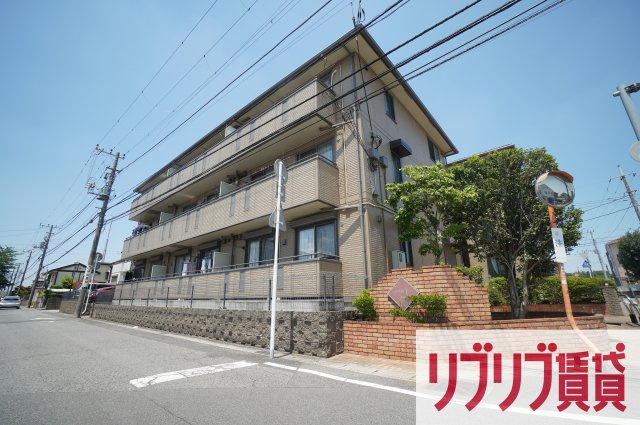 セジュール山の根の外観