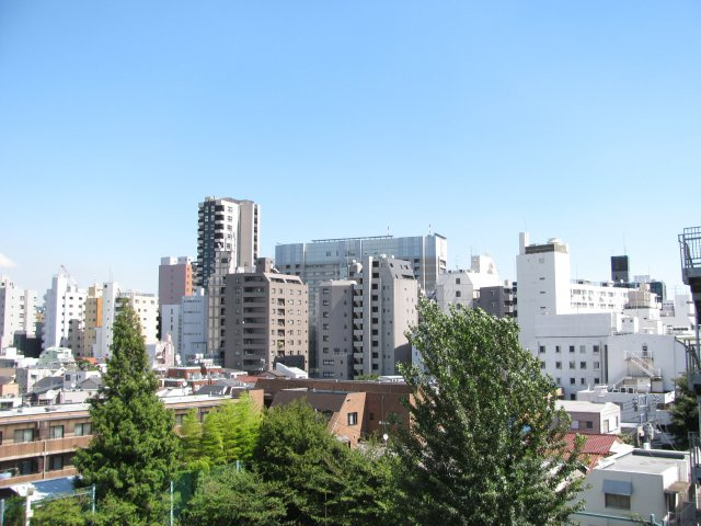 ダイアパレス真砂の展望|※写真は同タイプの別室になります