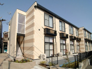 ホーステイルの画像