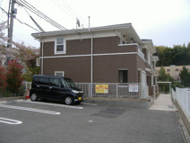 グレイスの画像