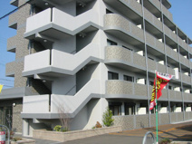 グラディートの画像