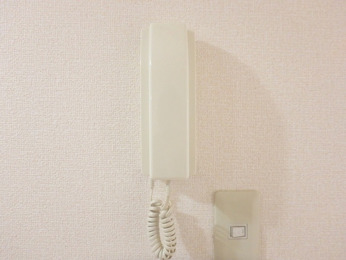 ディアス・ナガタのセキュリティ