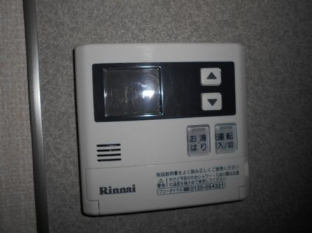 ディアス・ナガタのその他