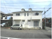 エーデルワイスの画像