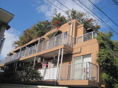 【外観】 | ハットミリュウ