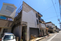 カサ水木の画像