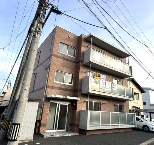 エクセルムＱＤ