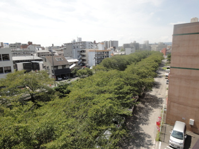 【展望】 | 岩本西ビル | 春には佐保川沿いに桜が咲き乱れます。