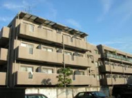 カテリーナニュー神楽坂の画像