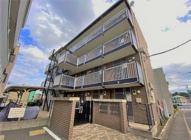 ゴールデンゴンタの画像