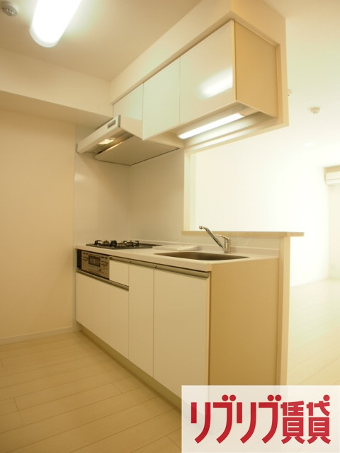 リブリ・シャルマンのキッチン