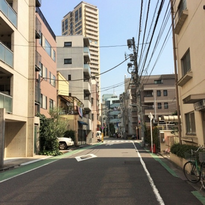 【周辺】 | ルピナス麻布シティフォルム | 前面道路