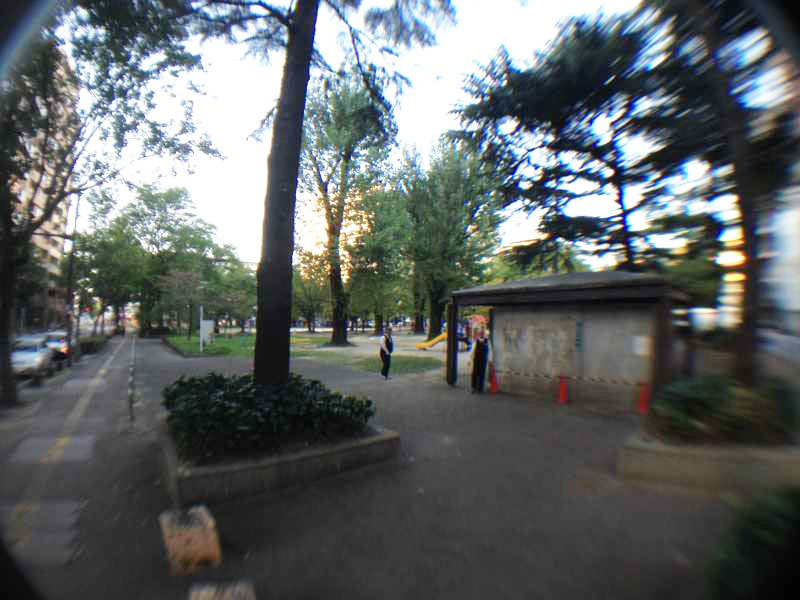 アラキビルの周辺|アラキビル（2ＬＤＫ）　公園