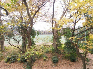 【展望】 | ライゼ富ヶ谷