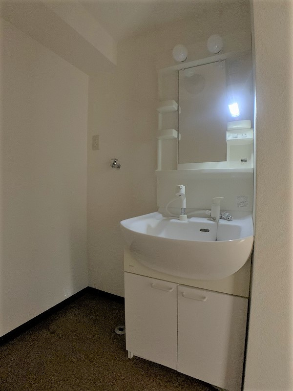 エコクリエイト駅西の独立洗面台