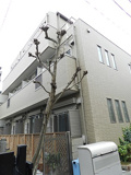 品川区戸越２丁目のアパートの画像