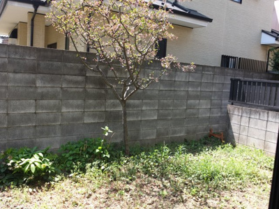 【展望】 | ロイヤルパークハウス大泉 | 同タイプ参考写真