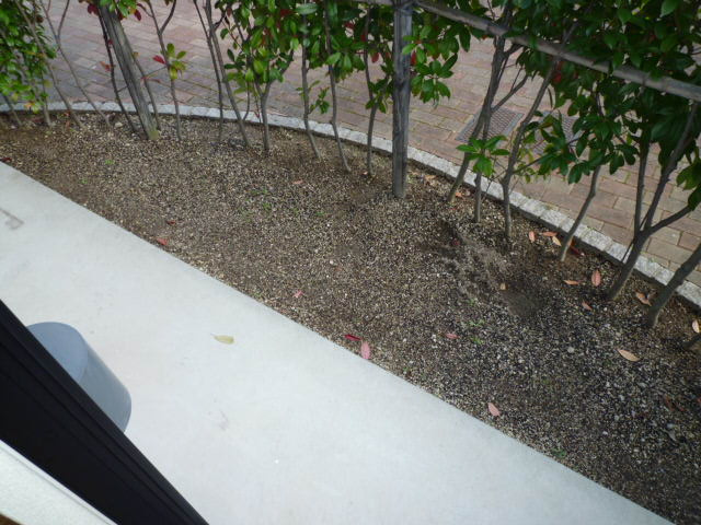 ジョイラックスＢの庭