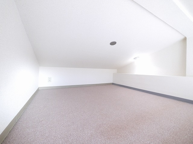 シティパレス川之上町のその他|ロフトです