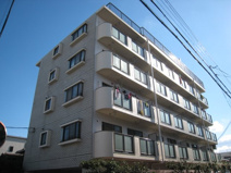 マジェスティック21の画像