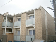 アイランドの画像