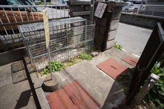 【その他共用部分】 | 敷地内ゴミ置き場。