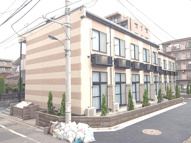 ノワールの画像