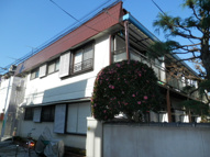雅　No.11の画像
