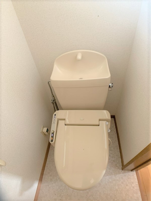 リッチヒルズみたけのトイレ