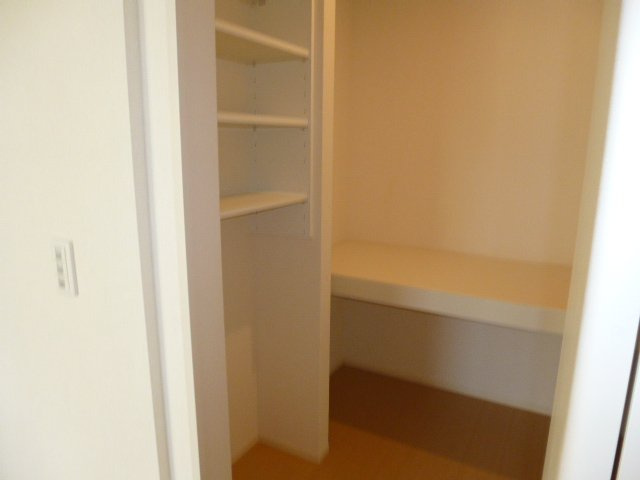 グラン　シイズの収納|ウォークインクローゼット