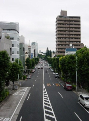 【周辺】 | 秀和青山神宮前レジデンス | 前面道路