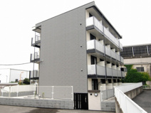 ミ　ルガール の画像