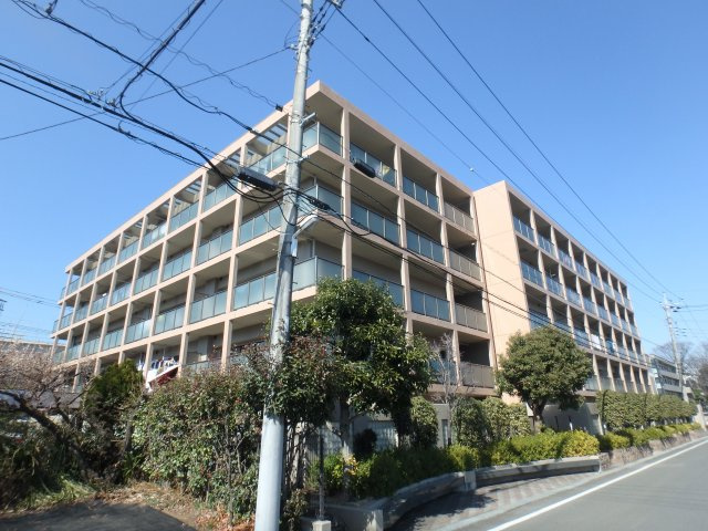 ウイスタリアオークの外観