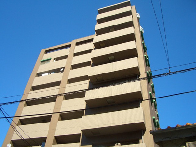 【外観】 | フェリシア | フェリシア　鉄筋コンクリート造10階建て　南西向きのマンションです