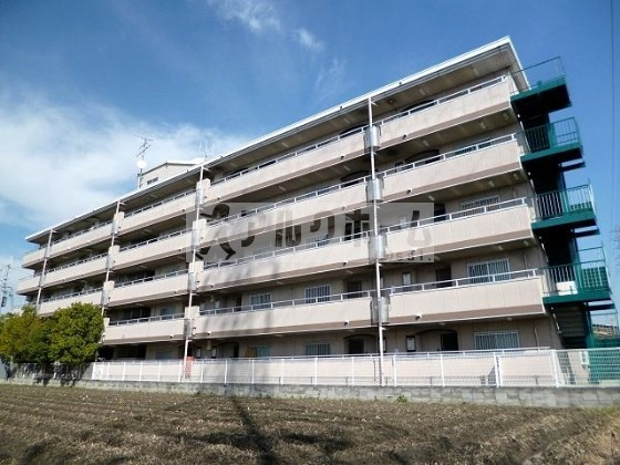 ネオシティ道明寺