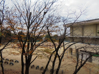 【展望】 | 目の前が千三小学校★
