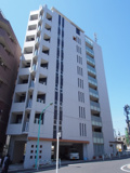 Ｃｉｍａ　Ｃｏｐｐｉの画像
